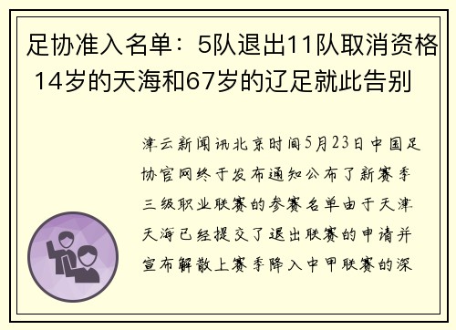 足协准入名单：5队退出11队取消资格 14岁的天海和67岁的辽足就此告别